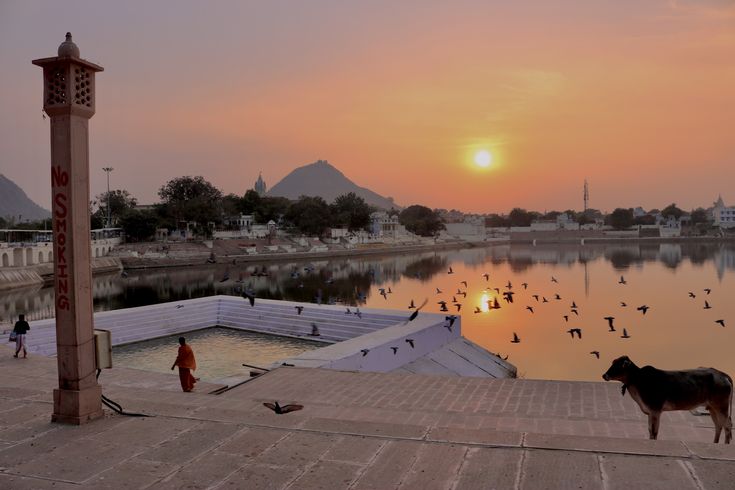 Royal Rajasthan & Sacred Pushkar Journey Tour Package